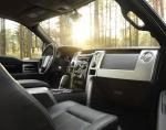 Ford F-150 2009 года